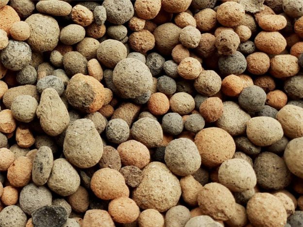 Clay Pebbles in Hydroponics: Lightweight and Versatile Growing Medium